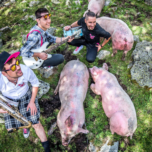 11-band-with-pigs